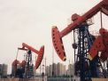 Produksi Minyak OPEC+ Naik Mulai Agustus, Pasar Energi Global Mulai Stabil