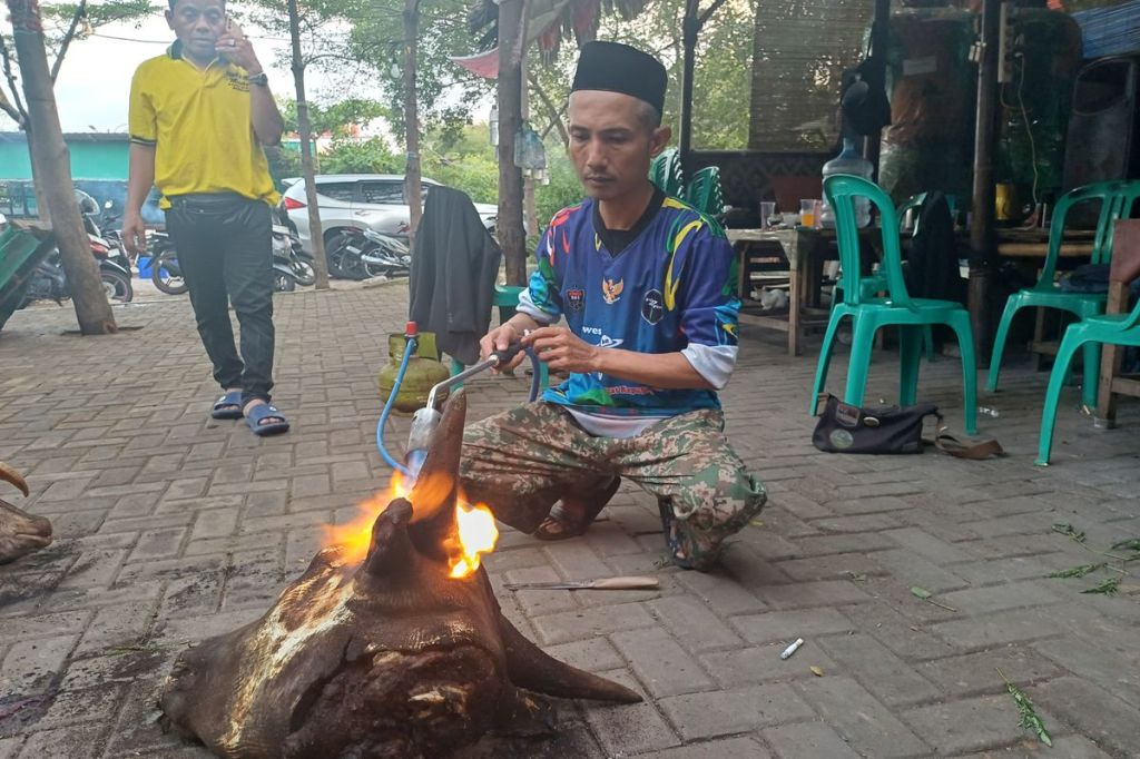 20 Tahun Jadi Jagal Kurban, Karyono Keliling Jakarta Layani Penyembelihan Bersertifikat Halal
