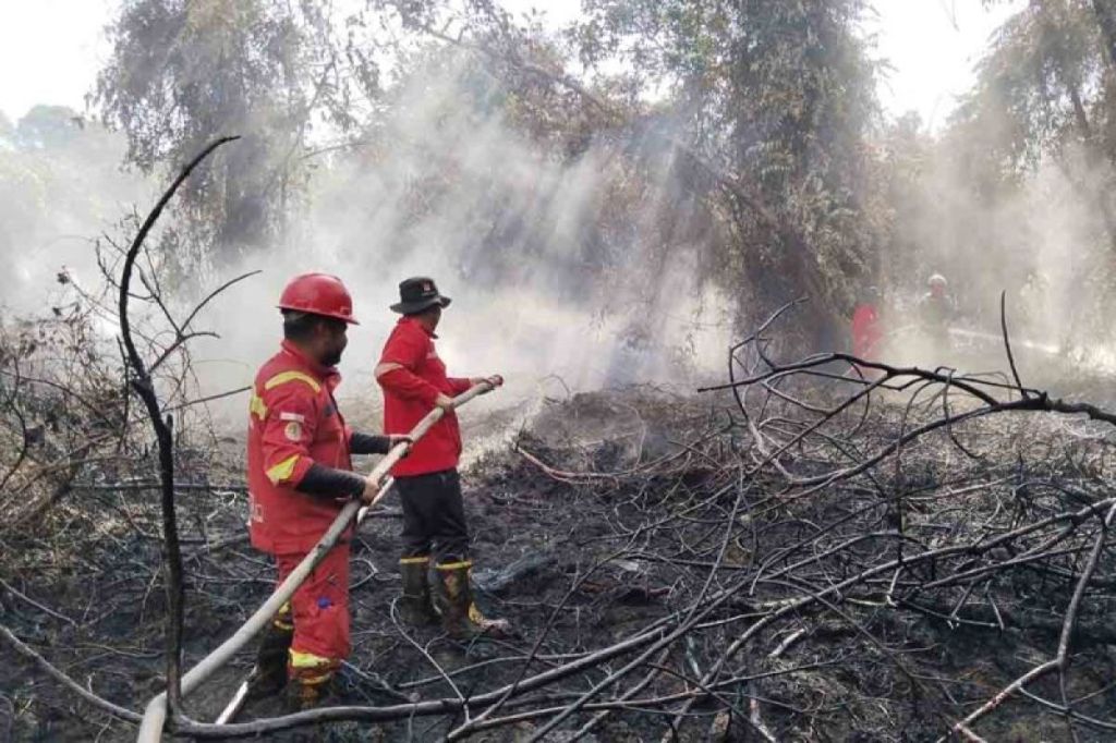 Karhutla di Aceh Selatan Terus Meluas, Luas Lahan Terbakar Capai 25 Hektare