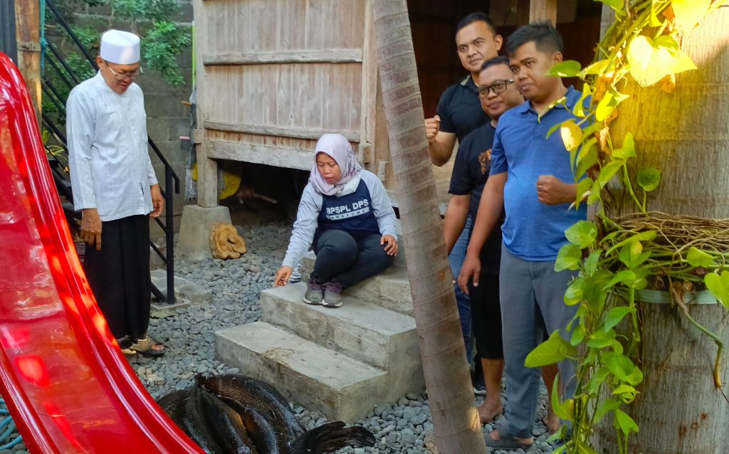 7 Ekor Ikan Aligator Gar Peliharaan Warga Situbondo Dimusnahkan