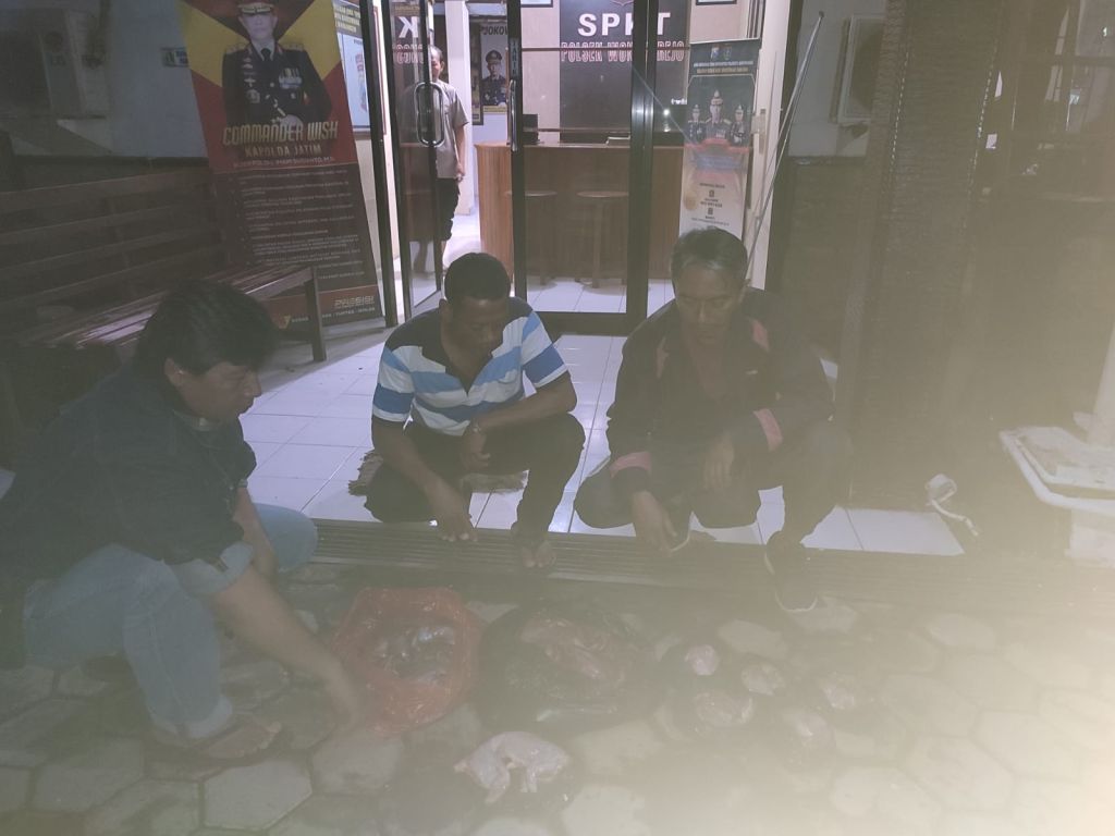 Barang bukti daging satwa dilindungi diamankan petugas