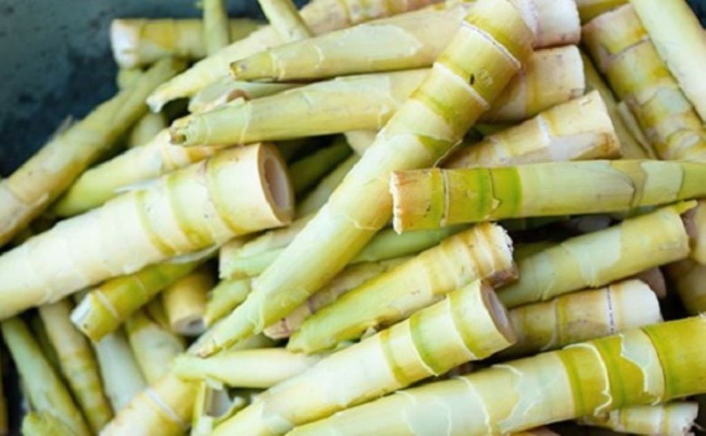 Mengolah Rebung jadi Berbagai Maknanan Lezat Menggoda Selera