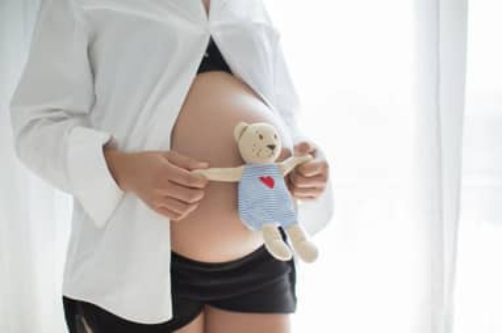 Tips Perjalanan Mudik Tetap Aman dan Sehat Bagi Ibu Hamil