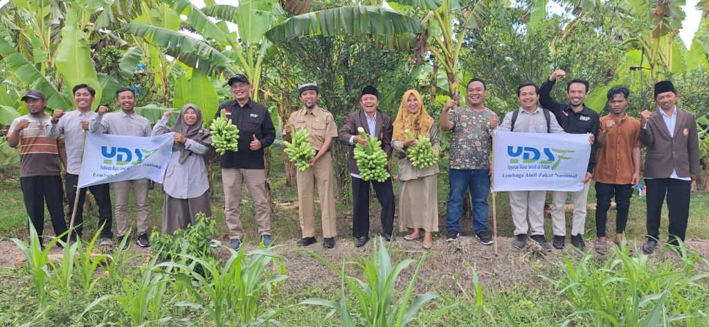 YDSF Panen Lima Ton Pisang Program Zakat Produktif di Banyuwangi