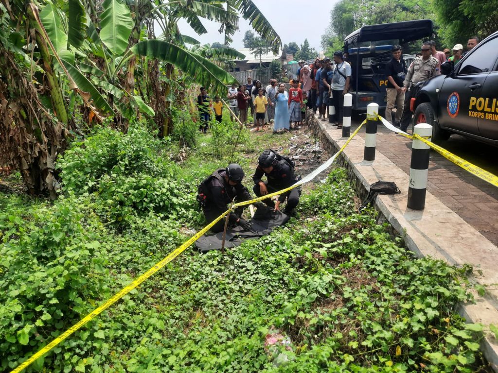 Pencari Bekecot Temukan Granat Nanas Aktif di Probolinggo