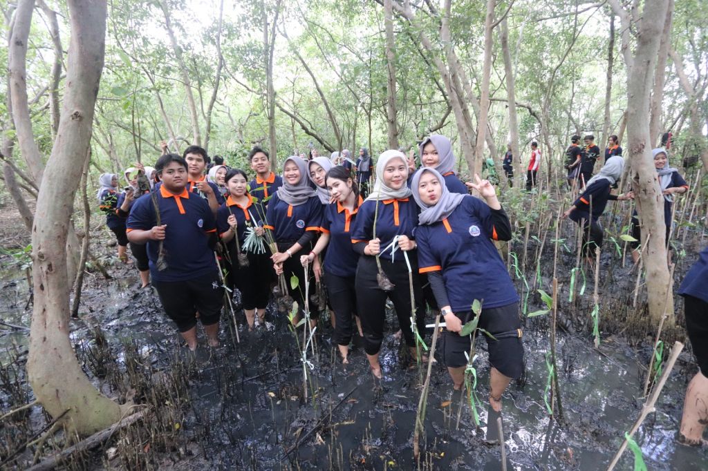 Saat Mahasiswa UHW Perbanas Tanam Pohon Mangrove di Surabaya