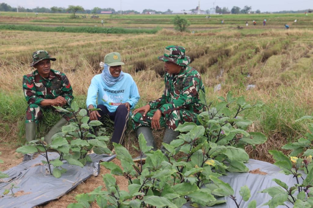 Komsos di Lahan Pertanian, Hangatnya Kebersamaan Satgas TMMD dan Petani di Desa Godo