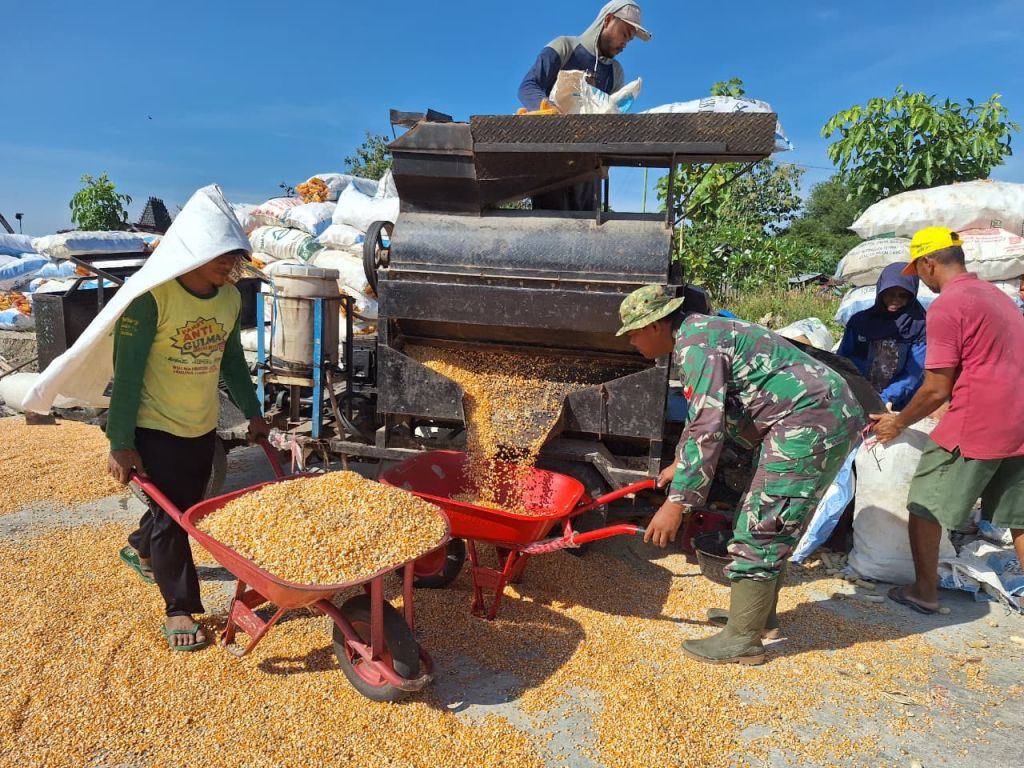 Satgas TMMD Bantu Penggilingan Jagung, Wujud Nyata Kepedulian di Desa Godo