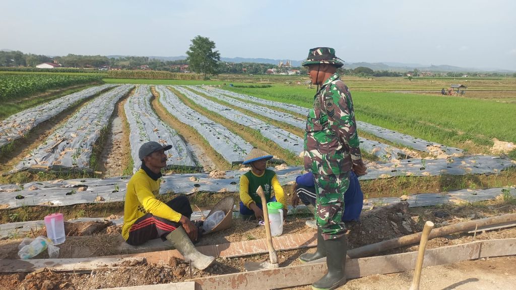 Satgas TMMD Kodim Pati Jalin Kedekatan Dengan Petani di Lokasi Persawahan