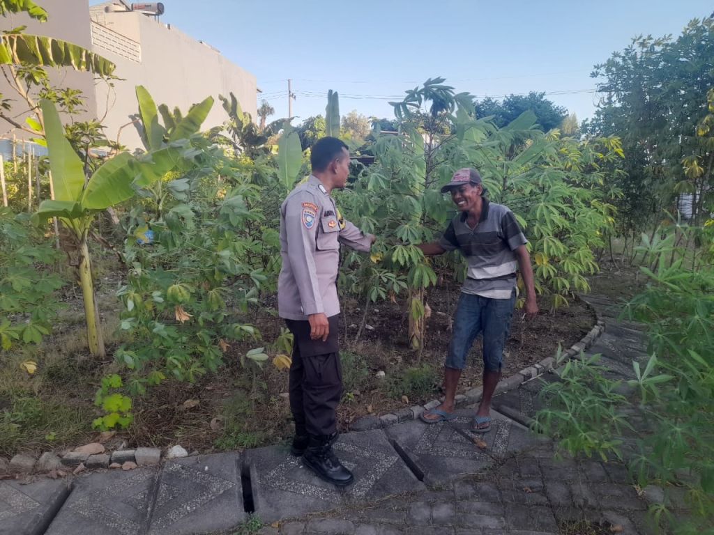 Ketahanan Pangan dari Pekarangan Bhabinkamtibmas Ajak Warga Lidah Wetan Budidaya Singkong