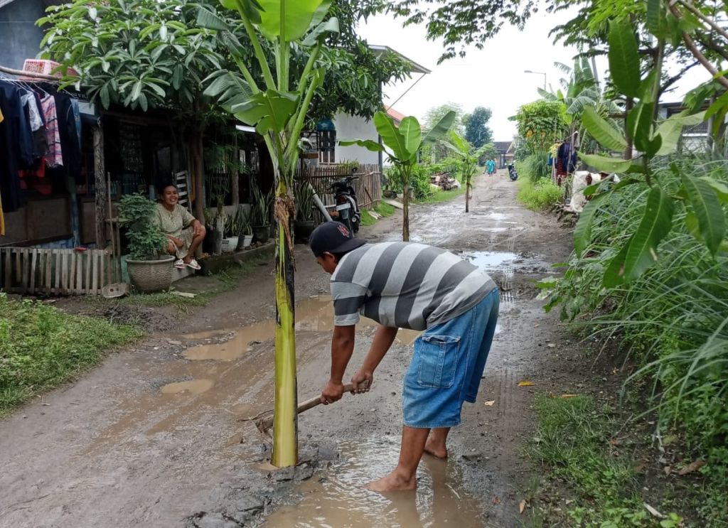 Jalan antardesa di Kabupaten Mojokerto ditanami pohon pisang oleh warga (Foto: Dok. warga setempat)