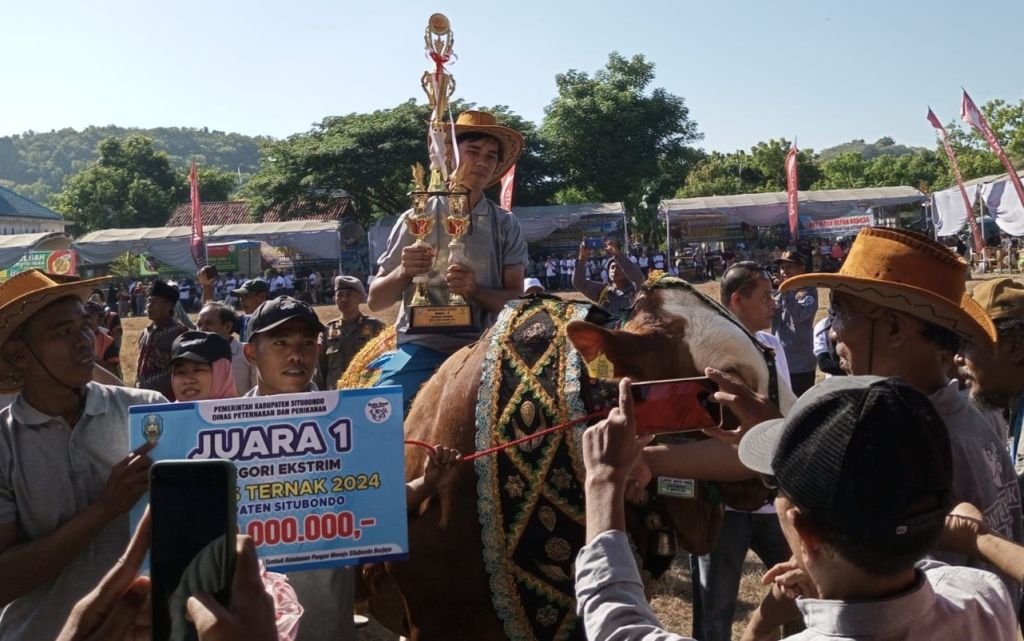Sapi 'Antony' Berbobot 1 Ton Lebih Juarai Kontes Ternak Situbondo 2024