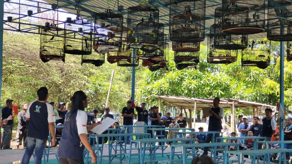 PAKAR Siap Bawa Murai Kalangan Bawah Tembus Event Besar