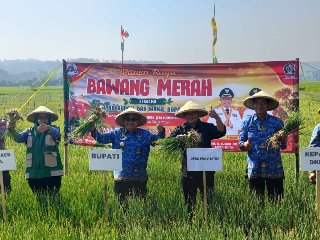 Panen Raya Bawang Merah di Panggungrejo, Bupati Blitar Dorong Regenerasi Petani dan Perkuat Ketahanan Pangan