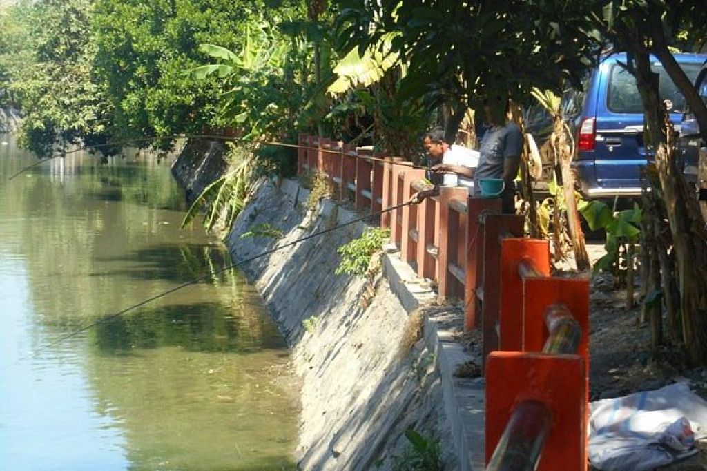 Rekomendasi Tempat Mancing Gratis untuk Akhir Pekan di Surabaya