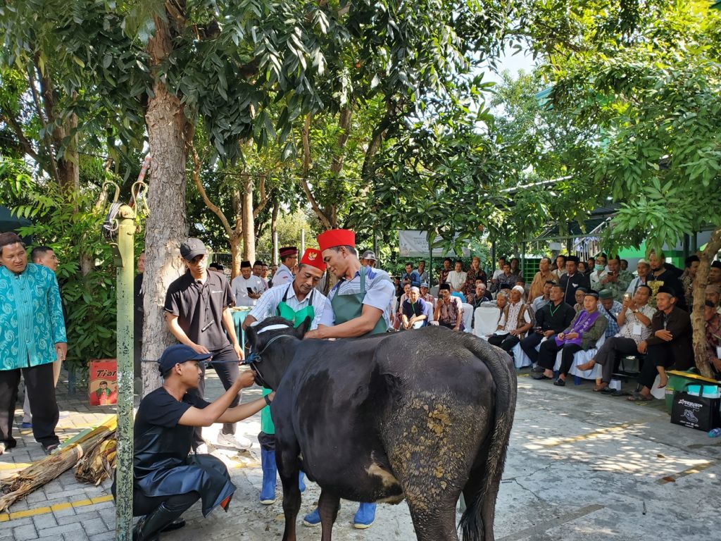 Takmir masjid dan musala se-Kota Mojokerto mengikuti pelatihan penyembelihan hewan kurban di halaman Masjid Nurul Islah, Selasa (3/6/2024)