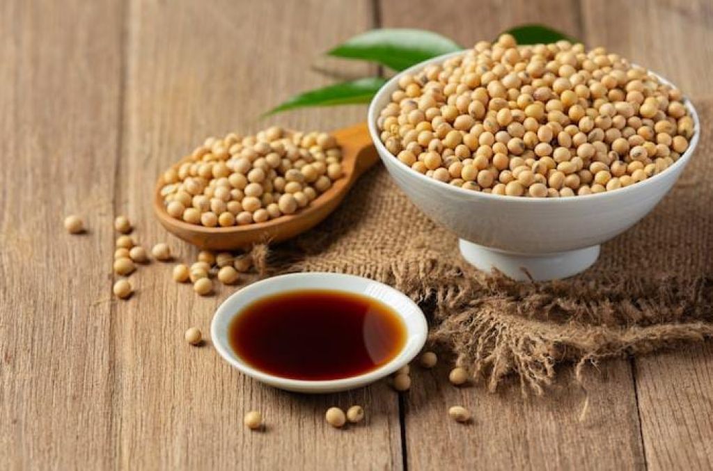 Tak Banyak yang Tahu, Ini Makanan untuk Meningkatkan Konsentrasi dan Daya Ingat